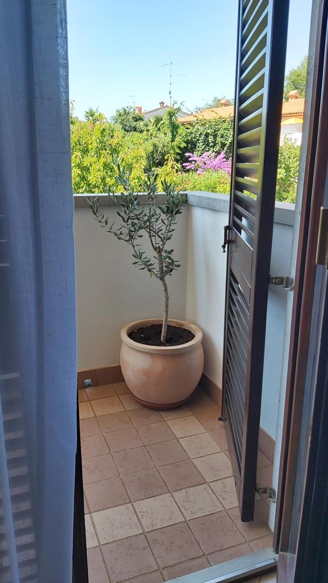 Apartments Villa Mirjam Poreč Eksteriør bilde