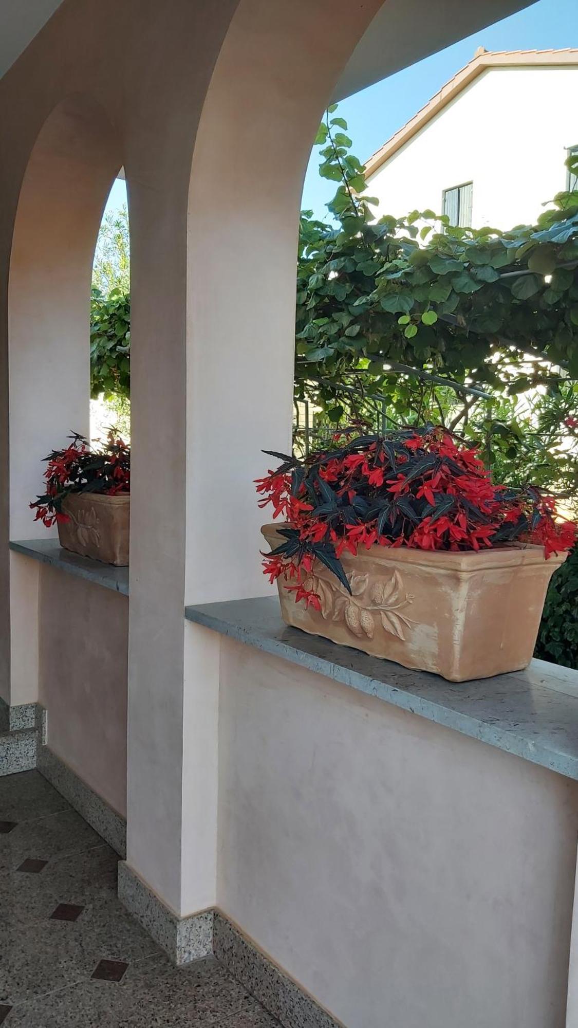 Apartments Villa Mirjam Poreč Eksteriør bilde